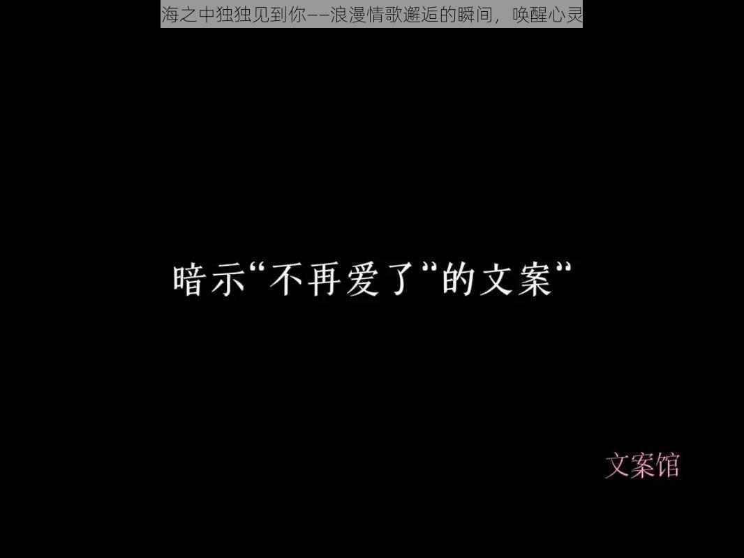 抖音我自云云人海之中独独见到你——浪漫情歌邂逅的瞬间，唤醒心灵深处的共鸣旋律