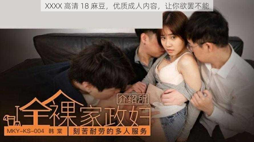 XXXX 高清 18 麻豆，优质成人内容，让你欲罢不能