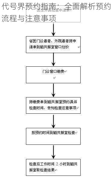 代号界预约指南：全面解析预约流程与注意事项