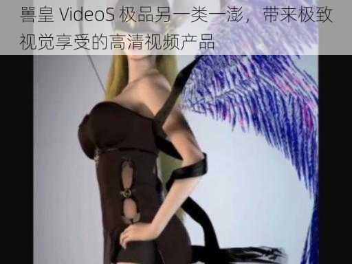 嘼皇 VideoS 极品另一类一澎，带来极致视觉享受的高清视频产品