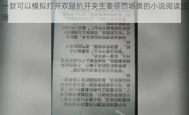 一款可以模拟打开双腿扒开夹生姜惩罚场景的小说阅读应用