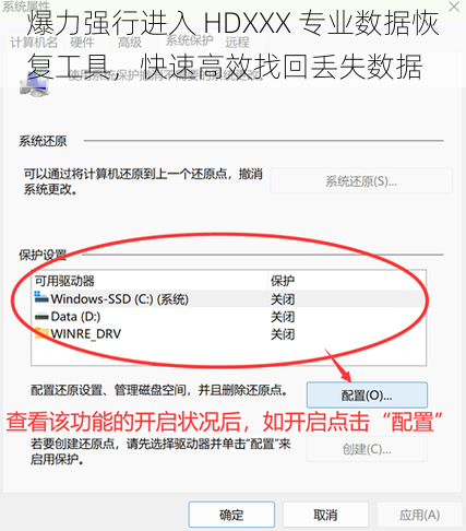 爆力强行进入 HDXXX 专业数据恢复工具，快速高效找回丢失数据