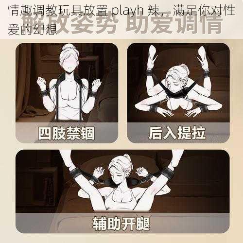 情趣调教玩具放置 playh 辣，满足你对性爱的幻想