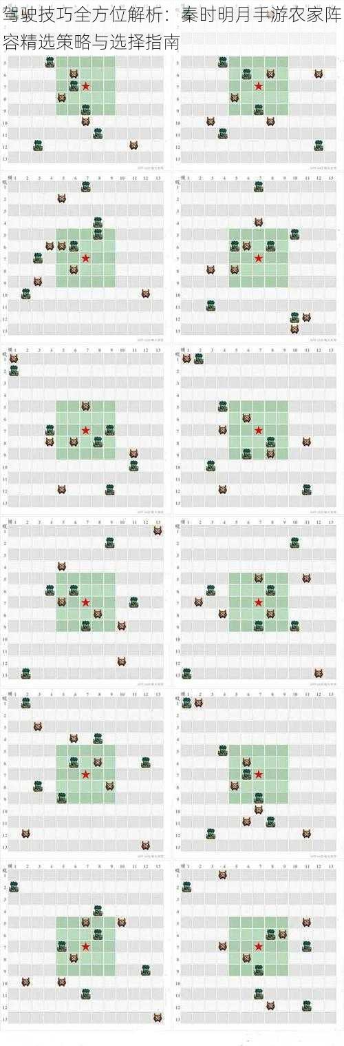 驾驶技巧全方位解析：秦时明月手游农家阵容精选策略与选择指南