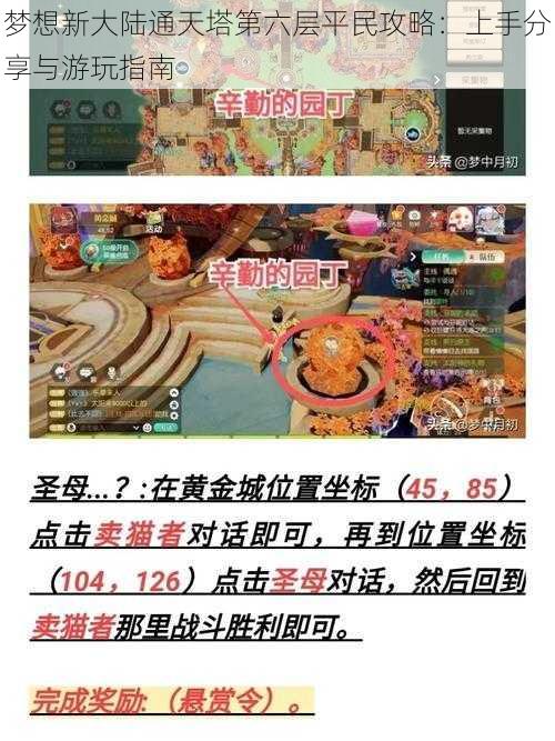 梦想新大陆通天塔第六层平民攻略：上手分享与游玩指南