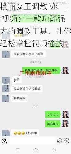 艳丽女王调教 VK 视频：一款功能强大的调教工具，让你轻松掌控视频播放