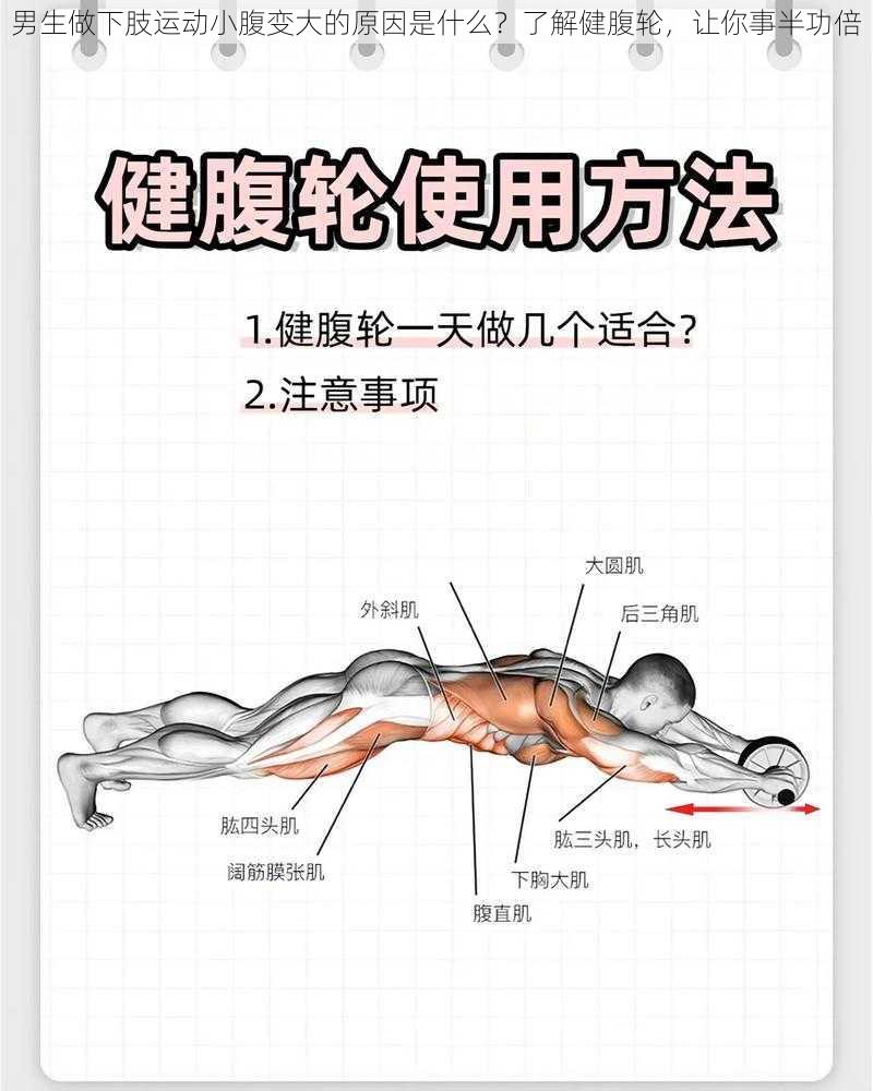 男生做下肢运动小腹变大的原因是什么？了解健腹轮，让你事半功倍