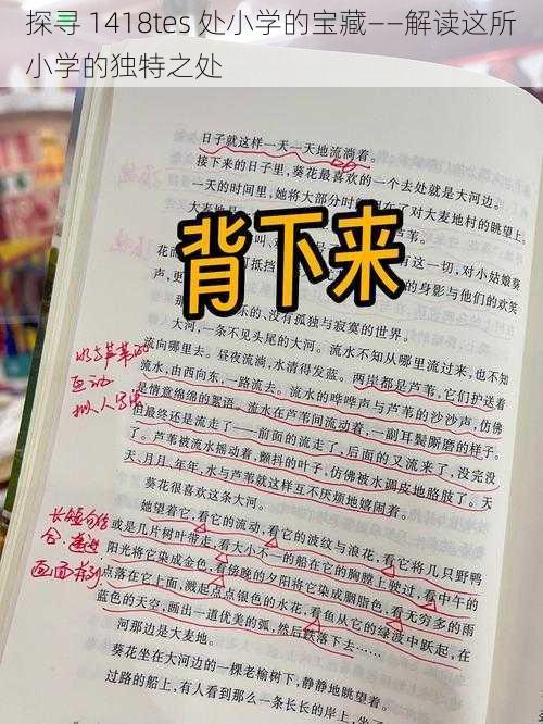 探寻 1418tes 处小学的宝藏——解读这所小学的独特之处