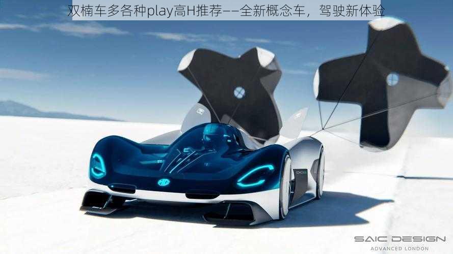 双楠车多各种play高H推荐——全新概念车，驾驶新体验