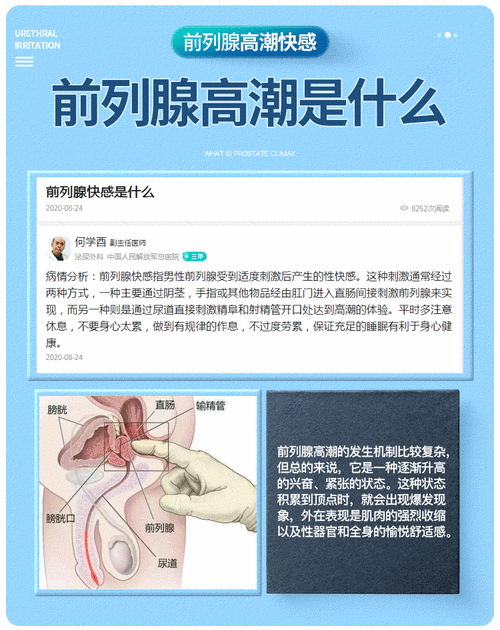 探索男生之间的极致快感：男生被男生到爽 gv 产品介绍