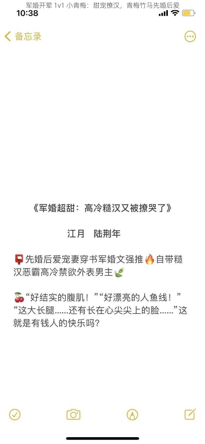 军婚开荤 1v1 小青梅：甜宠撩汉，青梅竹马先婚后爱