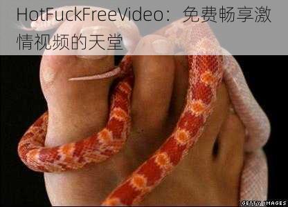 HotFuckFreeVideo：免费畅享激情视频的天堂