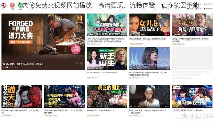 人禽伦免费交视频网站播放，高清画质，流畅体验，让你欲罢不能