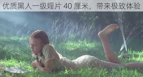 优质黑人一级婬片 40 厘米，带来极致体验