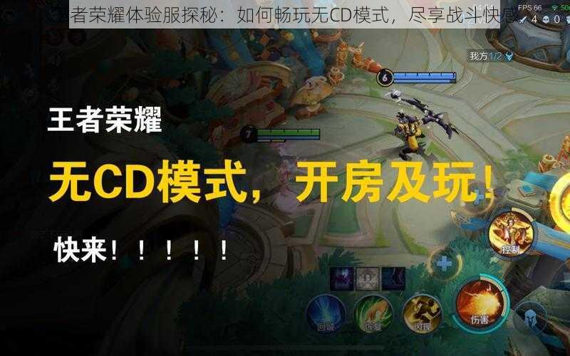 王者荣耀体验服探秘：如何畅玩无CD模式，尽享战斗快感