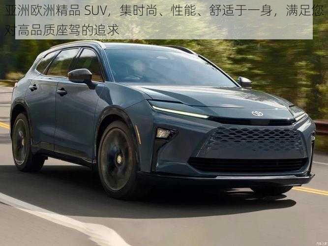 亚洲欧洲精品 SUV，集时尚、性能、舒适于一身，满足您对高品质座驾的追求