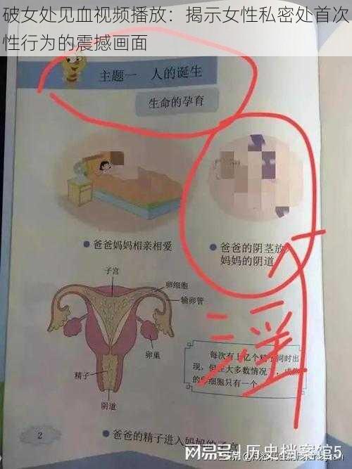 破女处见血视频播放：揭示女性私密处首次性行为的震撼画面