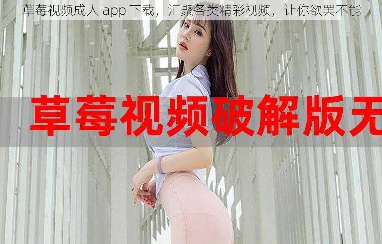 草莓视频成人 app 下载，汇聚各类精彩视频，让你欲罢不能