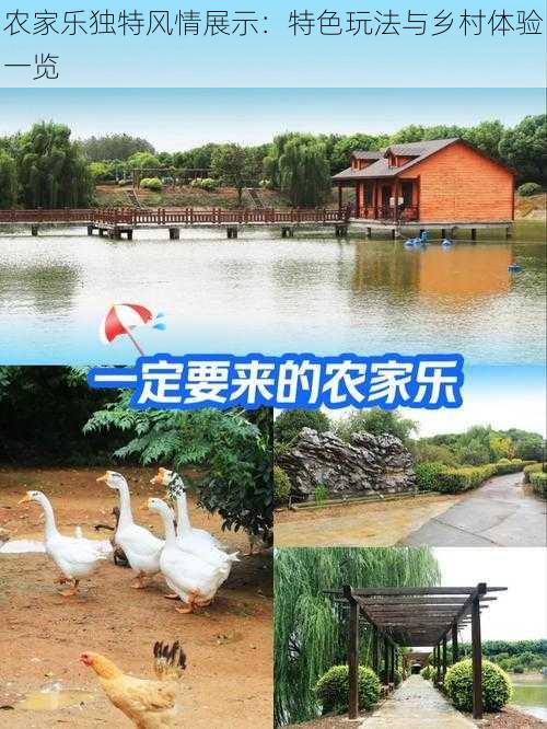 农家乐独特风情展示：特色玩法与乡村体验一览