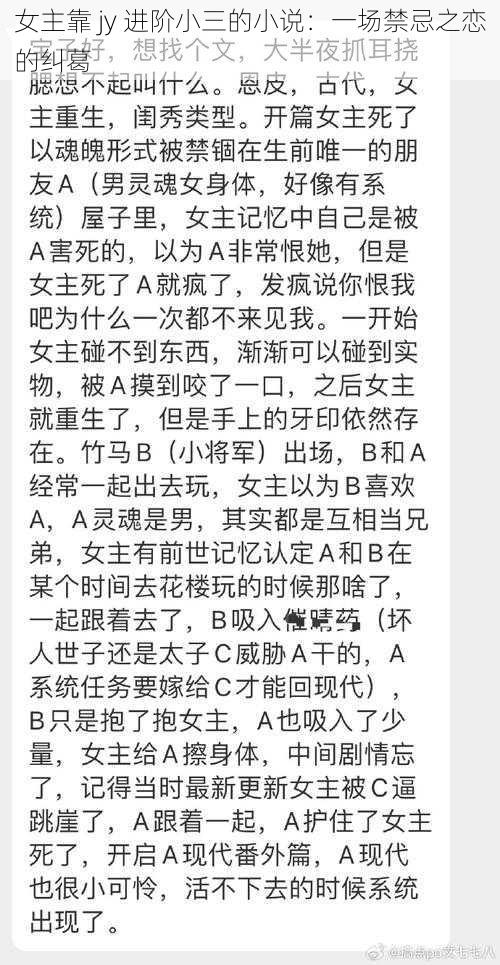 女主靠 jy 进阶小三的小说：一场禁忌之恋的纠葛