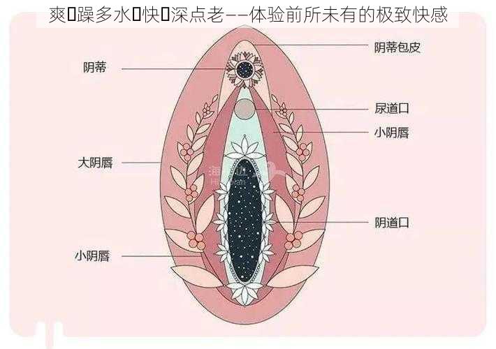 爽⋯躁多水⋯快⋯深点老——体验前所未有的极致快感