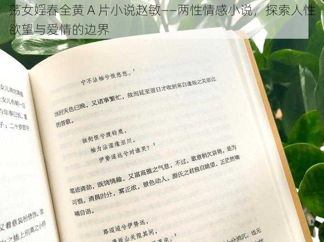 荡女婬春全黄 A 片小说赵敏——两性情感小说，探索人性欲望与爱情的边界