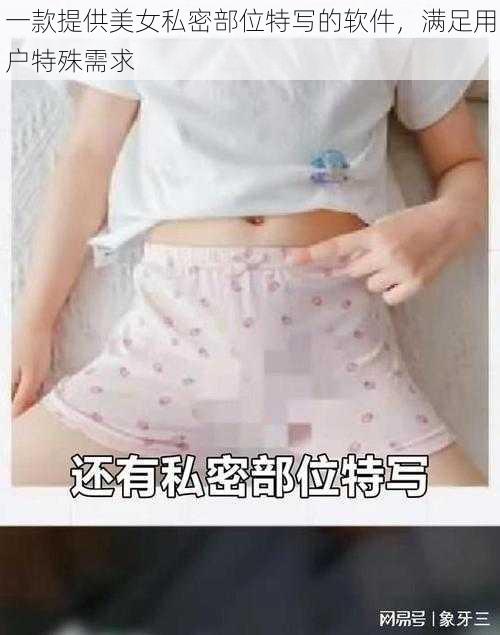 一款提供美女私密部位特写的软件，满足用户特殊需求