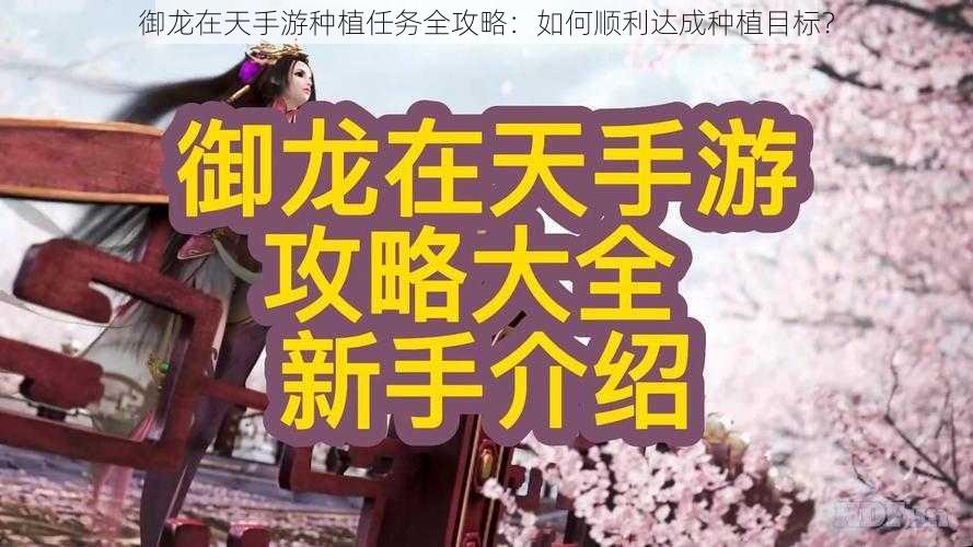 御龙在天手游种植任务全攻略：如何顺利达成种植目标？