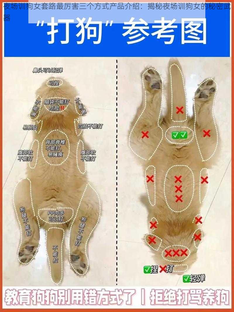 夜场训狗女套路最厉害三个方式产品介绍：揭秘夜场训狗女的秘密武器