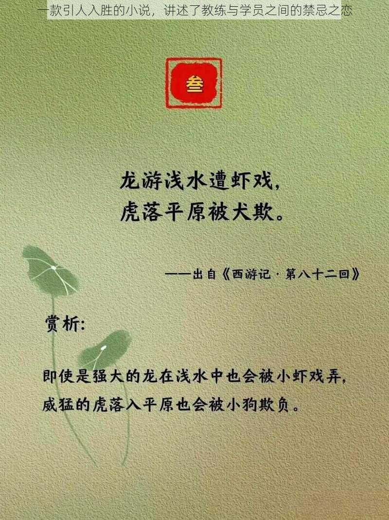 一款引人入胜的小说，讲述了教练与学员之间的禁忌之恋