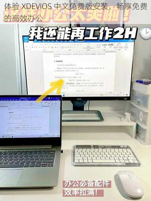 体验 XDEVIOS 中文免费版安装，畅享免费的高效办公