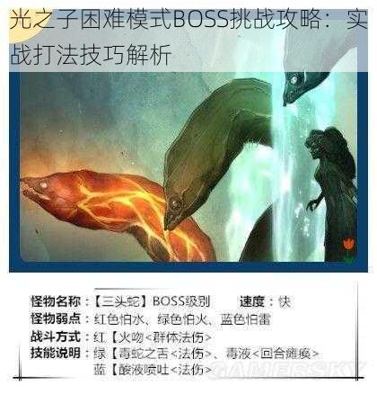 光之子困难模式BOSS挑战攻略：实战打法技巧解析