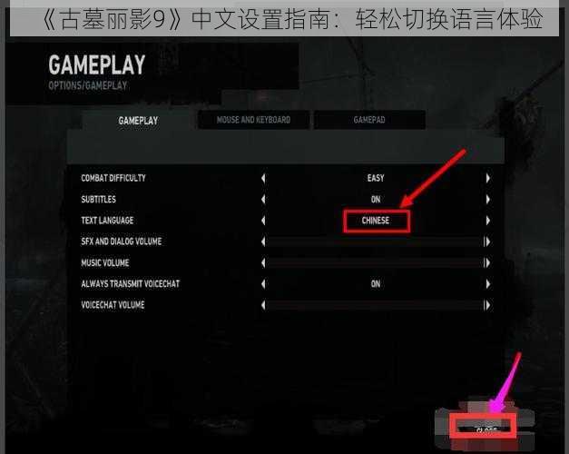 《古墓丽影9》中文设置指南：轻松切换语言体验