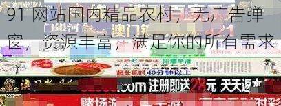 91 网站国内精品农村，无广告弹窗，资源丰富，满足你的所有需求