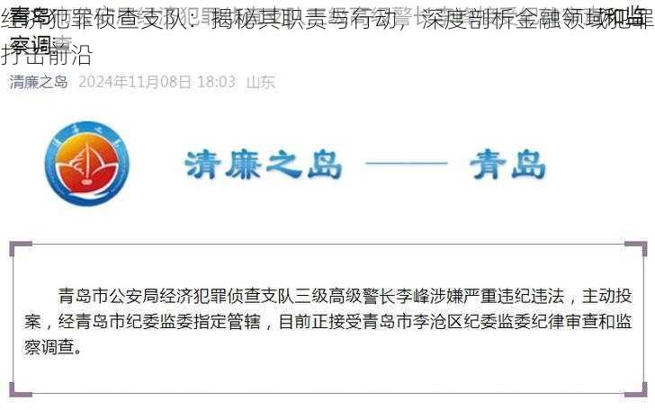 经济犯罪侦查支队：揭秘其职责与行动，深度剖析金融领域犯罪打击前沿