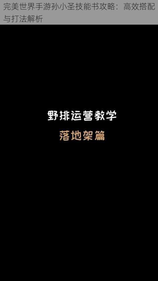 完美世界手游孙小圣技能书攻略：高效搭配与打法解析