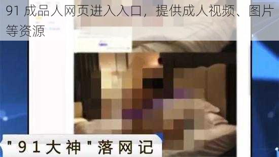 91 成品人网页进入入口，提供成人视频、图片等资源