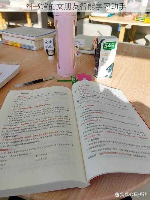 图书馆的女朋友智能学习助手