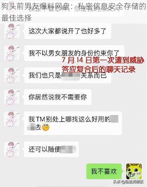 狗头前男友爆料网盘：私密信息安全存储的最佳选择