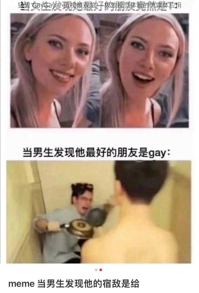 猛男 GayGay 小蓝视频双龙——极致视觉体验的流媒体应用