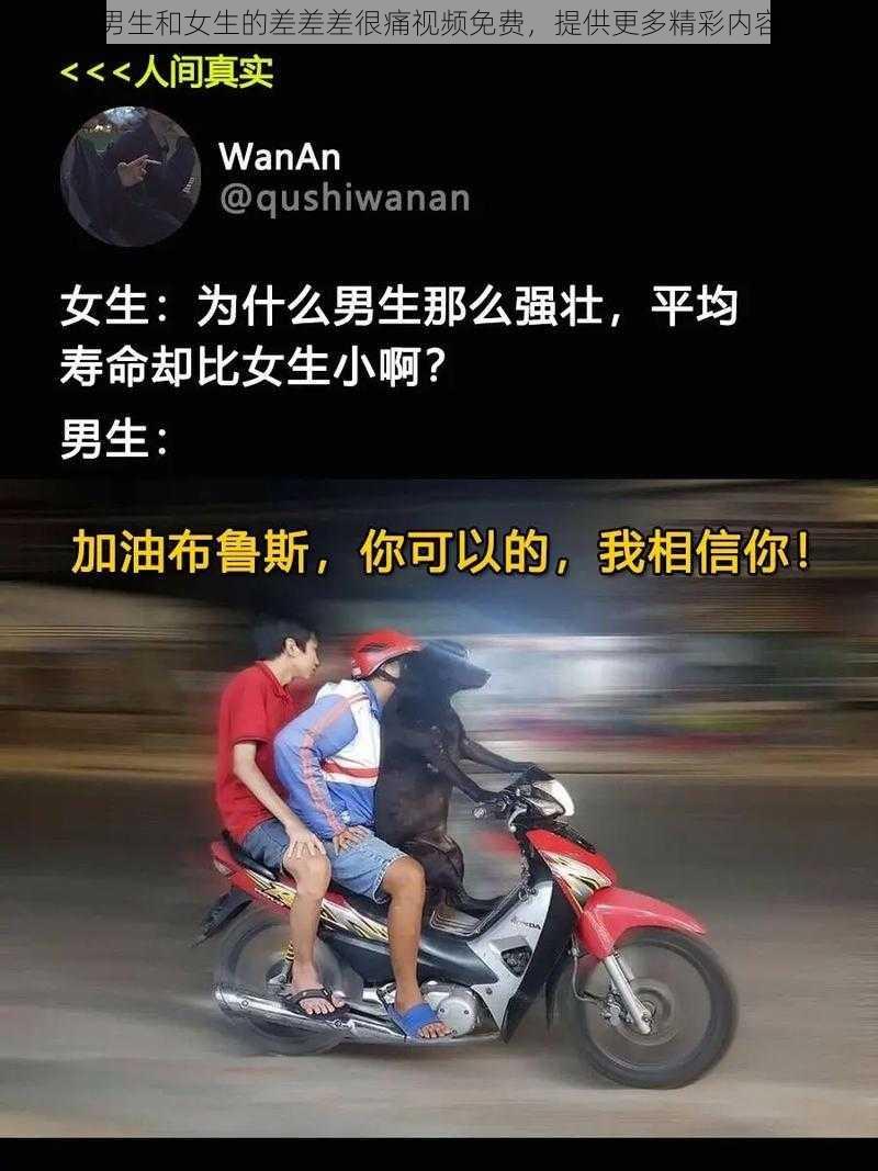 男生和女生的差差差很痛视频免费，提供更多精彩内容