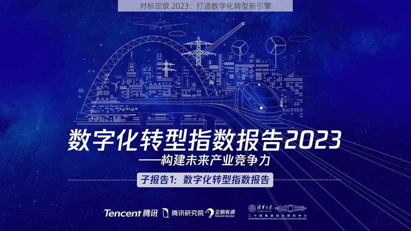 对标定级 2023：打造数字化转型新引擎