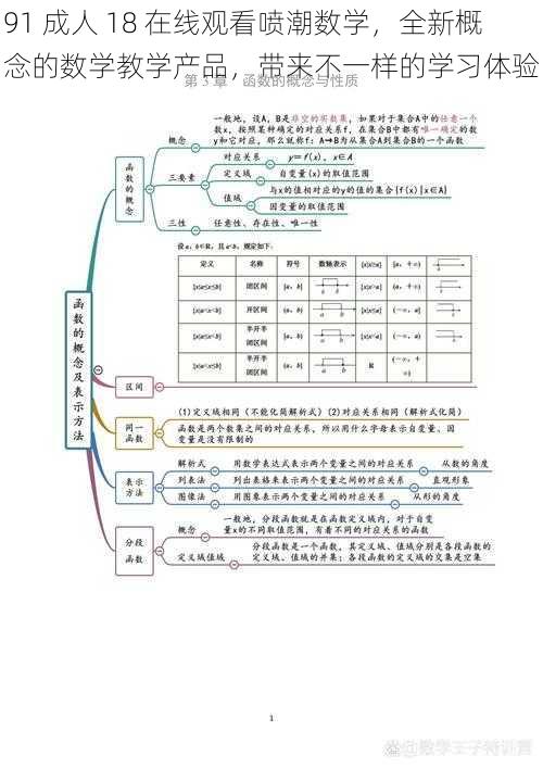 91 成人 18 在线观看喷潮数学，全新概念的数学教学产品，带来不一样的学习体验