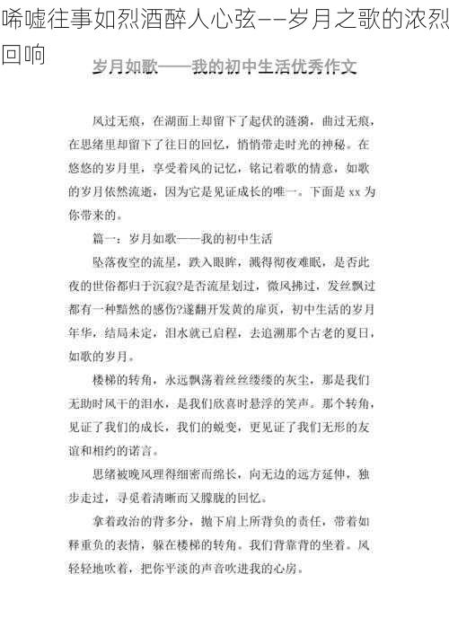 唏嘘往事如烈酒醉人心弦——岁月之歌的浓烈回响