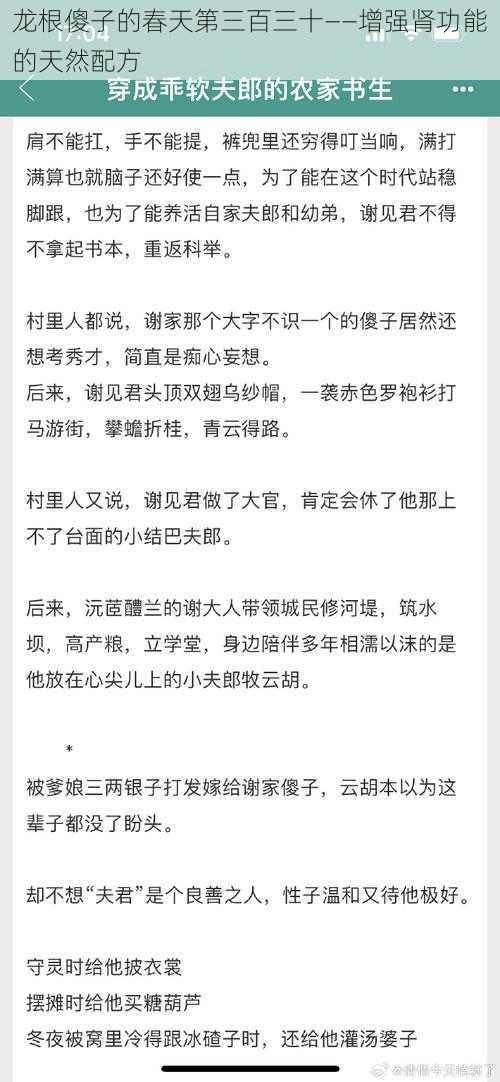 龙根傻子的春天第三百三十——增强肾功能的天然配方