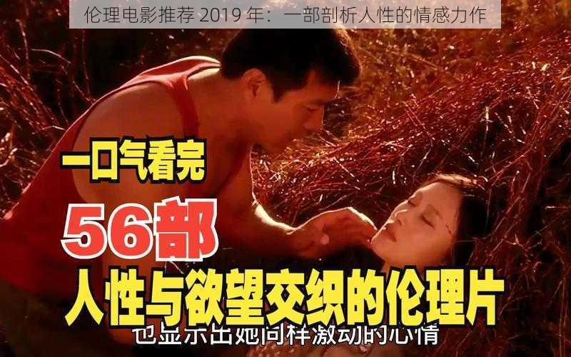 伦理电影推荐 2019 年：一部剖析人性的情感力作