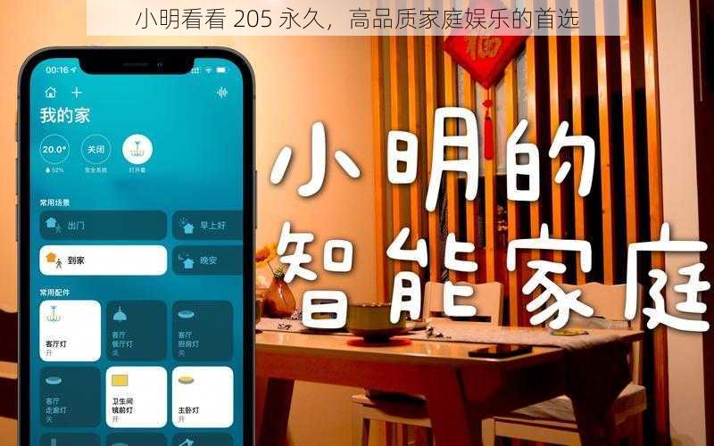小明看看 205 永久，高品质家庭娱乐的首选