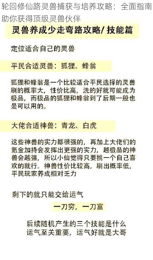 轮回修仙路灵兽捕获与培养攻略：全面指南助你获得顶级灵兽伙伴