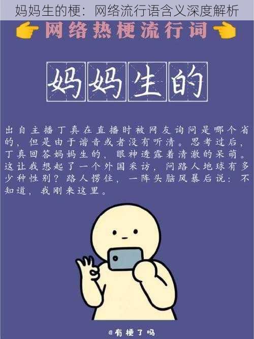 妈妈生的梗：网络流行语含义深度解析