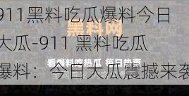 911黑料吃瓜爆料今日大瓜-911 黑料吃瓜爆料：今日大瓜震撼来袭